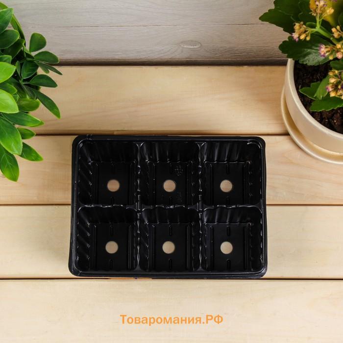 Кассета для рассады, 6 ячеек по 120 мл, пластик, чёрная, 18×13×6 см, набор 10 шт., Greengo