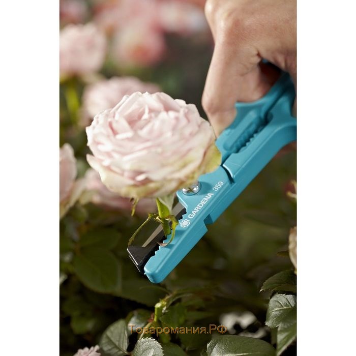 Ножницы для роз, 8.6" (22 см), с пластиковыми ручками