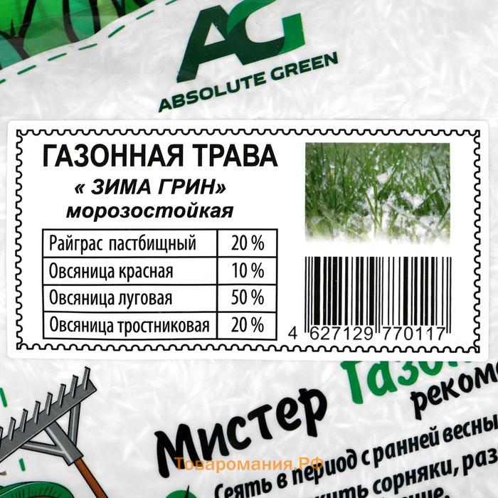 Газонная травосмесь "Абсолют", "Зима Грин", 500 г