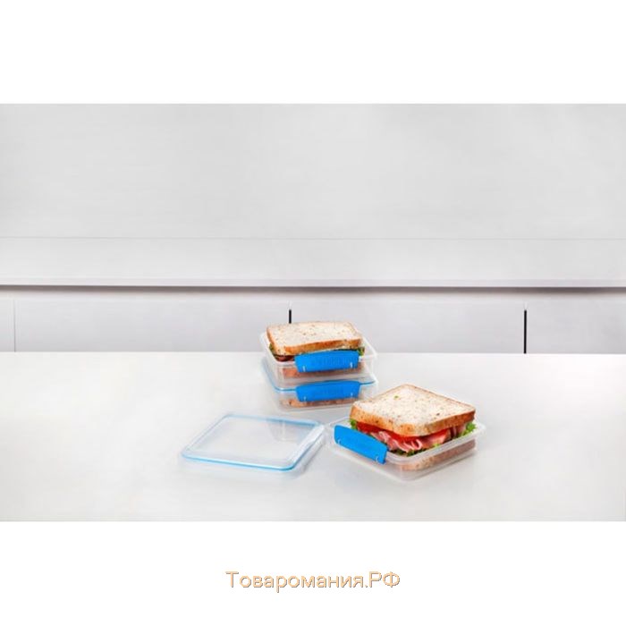 Набор контейнеров для сэндвичей Sistema, 450 мл x 3 шт.