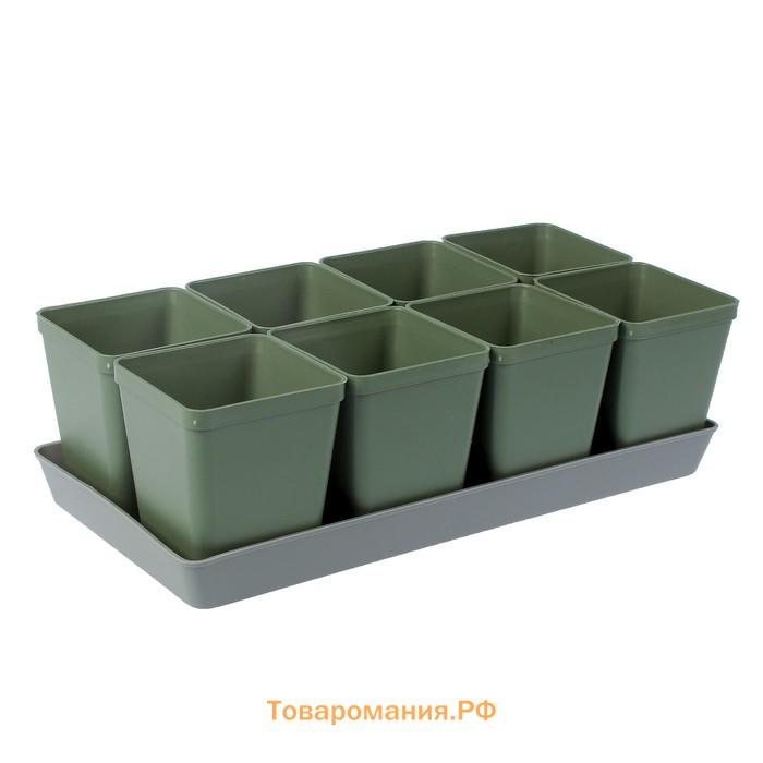 Набор для рассады: стаканы по 600 мл (8 шт.), поддон 36×18 см, цвет МИКС, Greengo