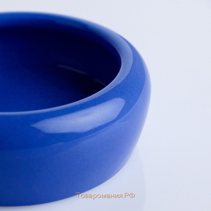 Миска керамическая 100 мл  10 х 3,2 см, синяя