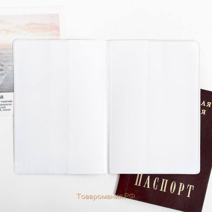 Обложка на паспорт «Котопаспорт», ПВХ