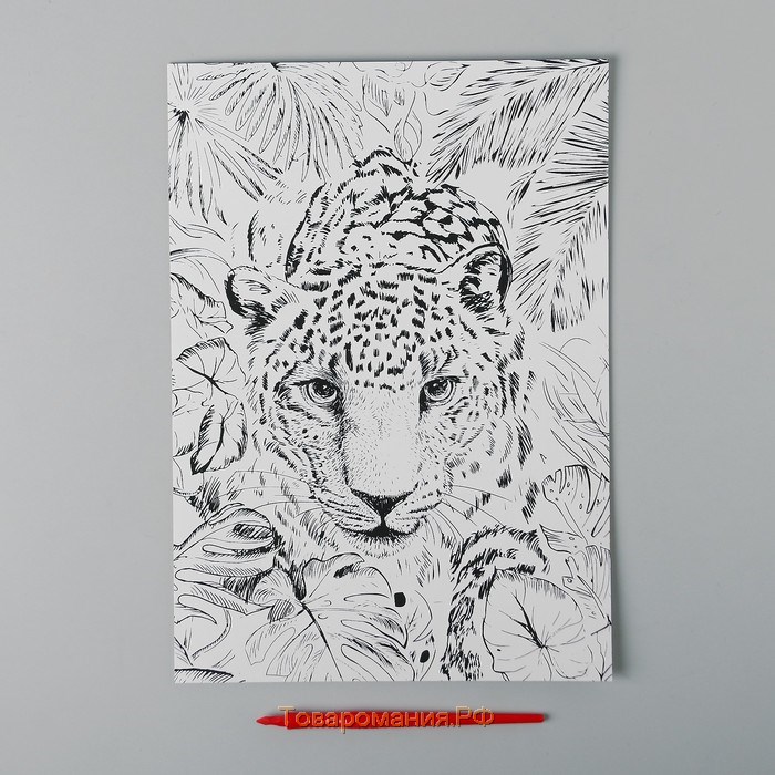 Гравюра «Леопард в джунглях» A4, с металлическим эффектом «золото»