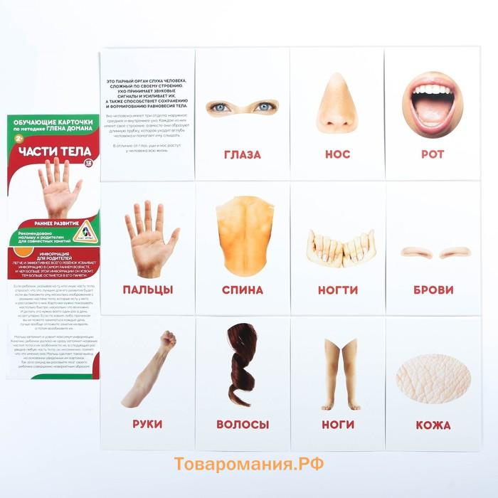 Обучающие карточки по методике Глена Домана «Расширяем кругозор», 10 штук, 2+, МИКС