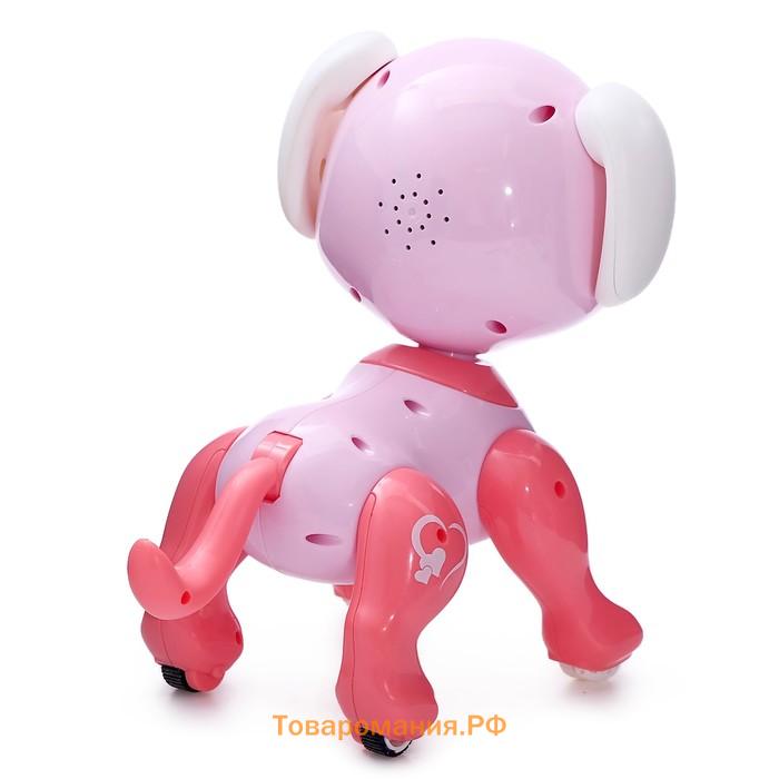 Робот собака радиоуправляемый «Питомец» WOOW TOYS, на пульте управления, интерактивный: звук, свет, танцующий, на аккумуляторе, розовый