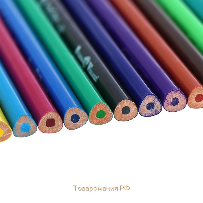 Карандаши цветные 18 цветов Funcolor пластиковые, в картонной тубе, МИКС