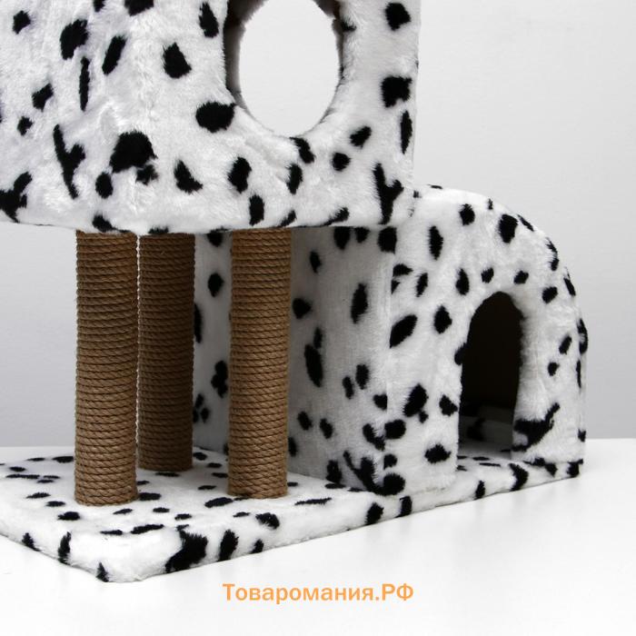 Домик для кошек с когтеточкой  "Двухуровневый", 72 х 37 х 110 см, джут, далматинец