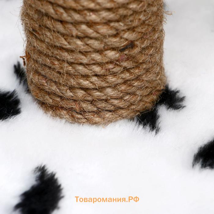 Домик для кошек с когтеточкой "Круглый с площадкой", 52 х 52 х 95 см, далматинец