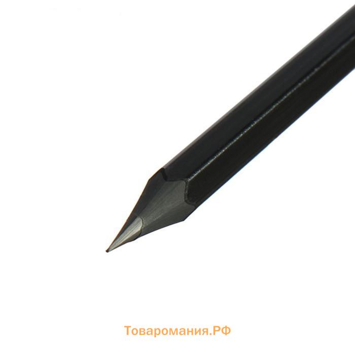Набор карандашей чернографитных 4 штуки, НB, Calligrata, пластиковых, с ластиком, чёрный