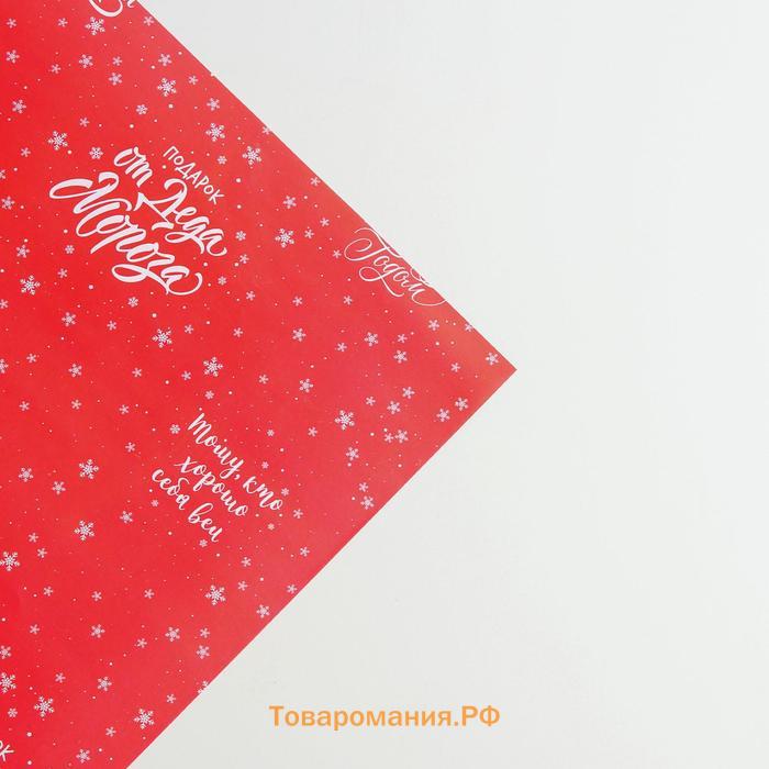 Бумага упаковочная глянцевая «От Деда Мороза», 70 х 100 см, Новый год