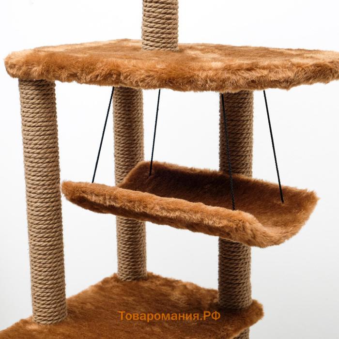 Комплекс для кошек с когтеточкой, угловой, 48 х 48 х 171 см, коричневый