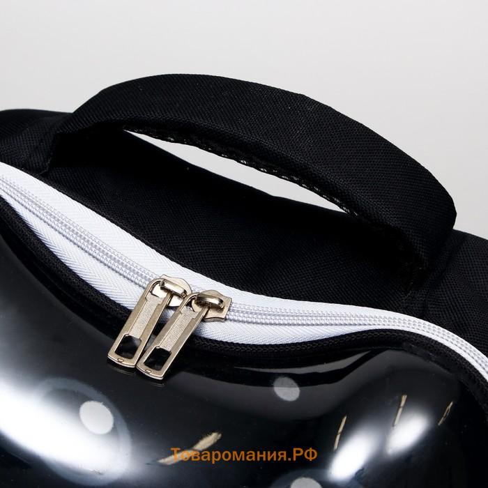 Рюкзак для переноски животных "Котик", прозрачный, 34 х 25 х 40 см, чёрный