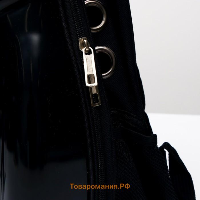 Рюкзак для переноски животных "Пингвин", с окном для обзора, 32 х 25 х 42 см