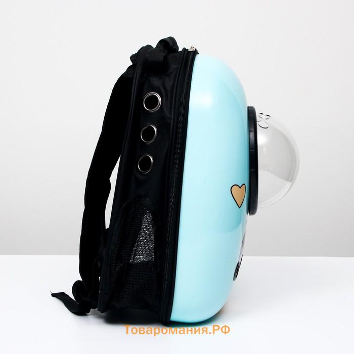 Рюкзак для переноски животных "Гламуррр", с окном для обзора, 32 х 25 х 42 см, голубой