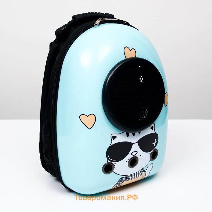 Рюкзак для переноски животных "Гламуррр", с окном для обзора, 32 х 25 х 42 см, голубой