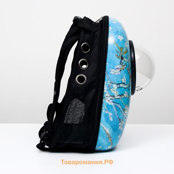 Рюкзак для переноски животных "Лапки", с окном для обзора, 32 х 25 х 42 см, голубой