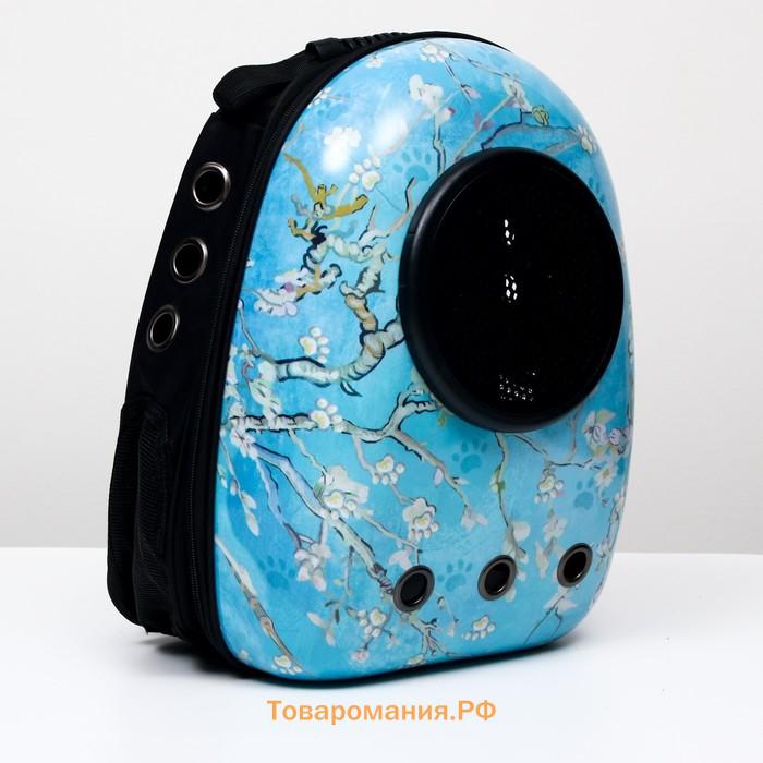 Рюкзак для переноски животных "Лапки", с окном для обзора, 32 х 25 х 42 см, голубой