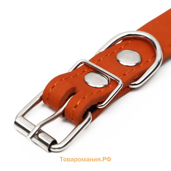Ошейник кожаный на синтепоне, безразмерный, 54 х 2,5 см, ОШ 19-47 см, оранжевый
