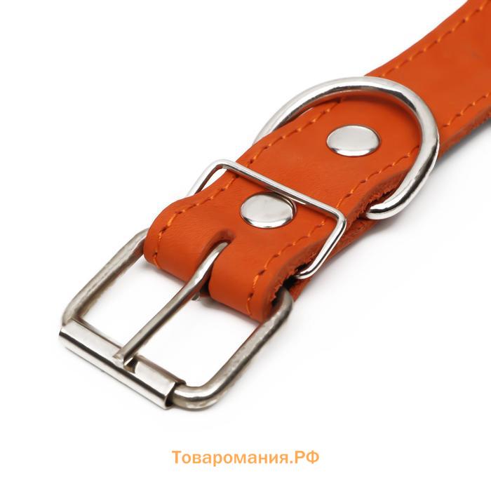 Ошейник кожаный на синтепоне, безразмерный, 71 х 3,5 см, ОШ 29-62 см, оранжевый