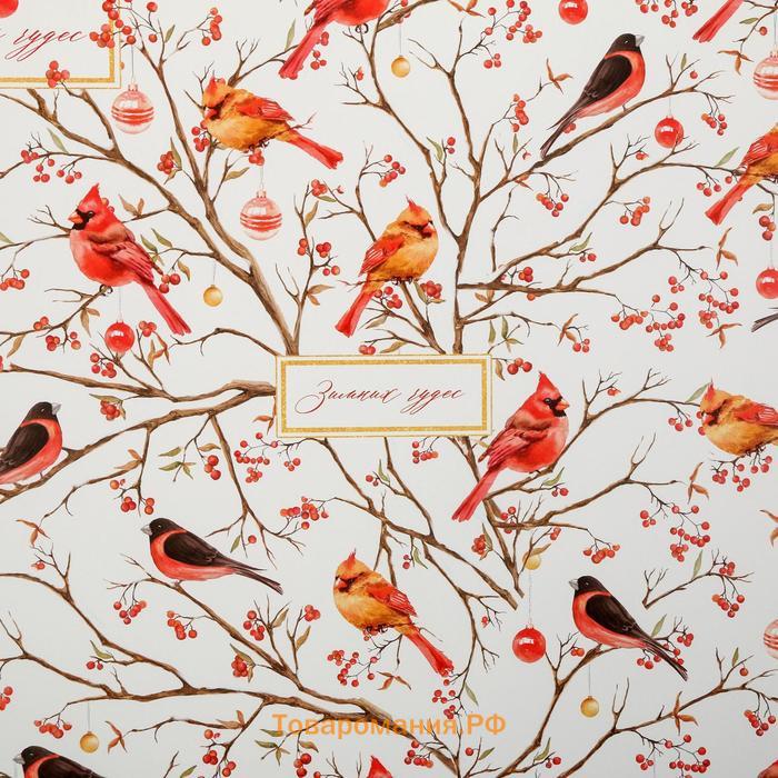 Бумага упаковочная глянцевая «Птицы на ветвях», 50 х 70 см, Новый год