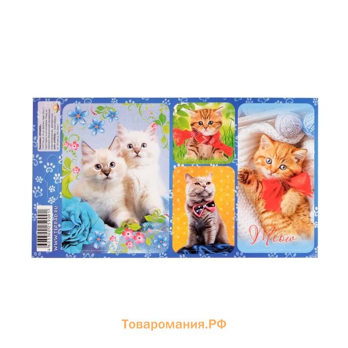 Наклейки "Кошки" 11 х 17 см, МИКС