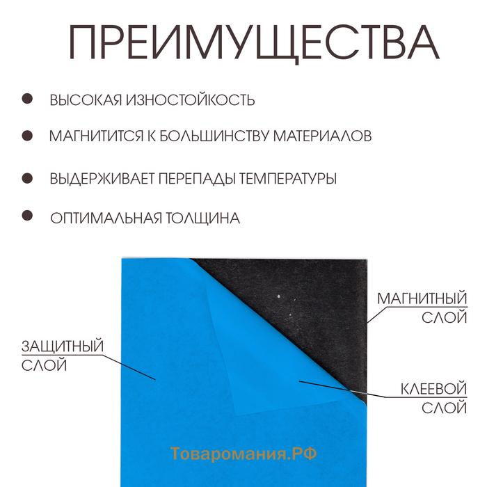 Магнитный винил, с ПВХ поверхностью, А4, 2 шт, толщина 0.3 мм, 21 х 29.7 см, синий