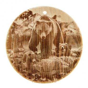 Доска из массива кедра «Медведь», круглая, 18 × 18 см