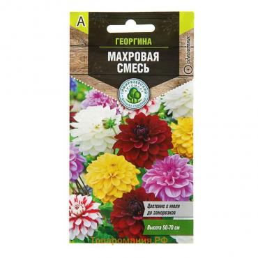 Семена цветов Георгина "Махровая" смесь, О, 0,2 г