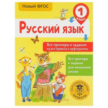 Русский язык. 1 класс. Все примеры и задания на все правила и орфограммы. Шевелёва Н. Н.