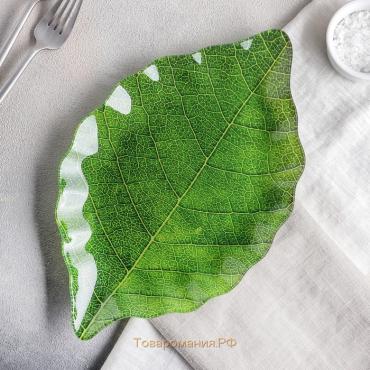 Блюдо стеклянное сервировочное «Лист», 31×19 см, цвет зелёный