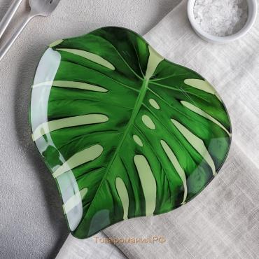 Блюдо стеклянное сервировочное «Монстера», 21×21 см, цвет зелёный