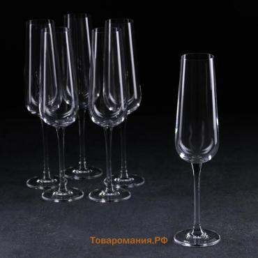 Набор бокалов для шампанского Corvus, 160 мл, 6 шт