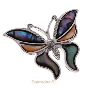 Брошь «Галиотис» бабочка летящая, в серебре