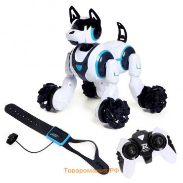 Робот собака Stunt, на пульте управления, интерактивный: звук, свет, на аккумуляторе, белый