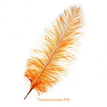 Перо для декора, длина: от 45 до 50 см, цвет персиковый