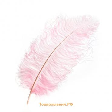 Перо для декора, длина: от 45 до 60 см, цвет розовый
