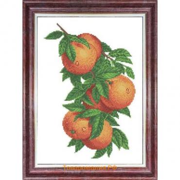 Схема для вышивки крестом «Апельсин», 23×30 см