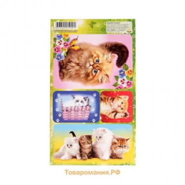 Наклейки "Кошки" 11 х 17 см, МИКС